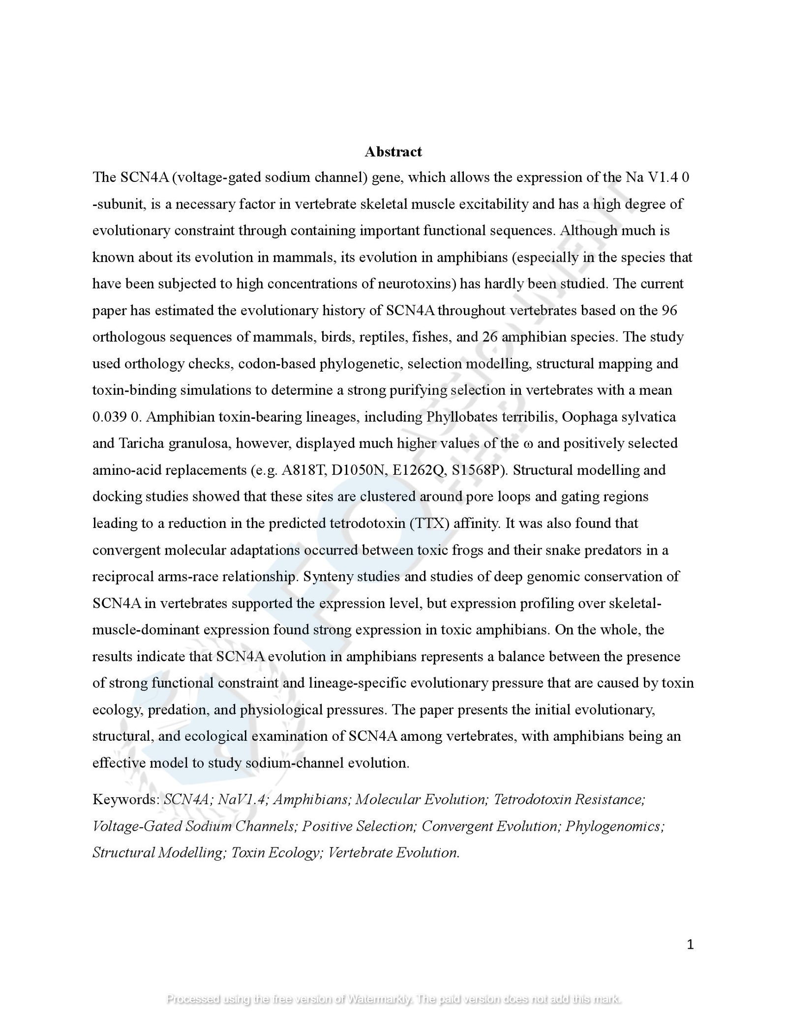 SCN4A Protein Evolution of amphibians species_00004