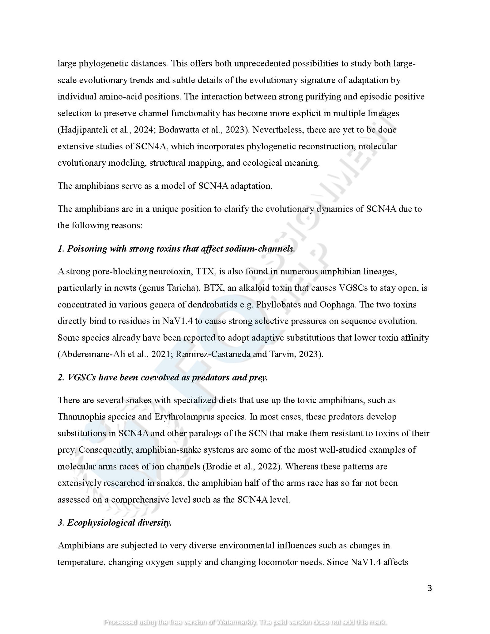 SCN4A Protein Evolution of amphibians species_00006
