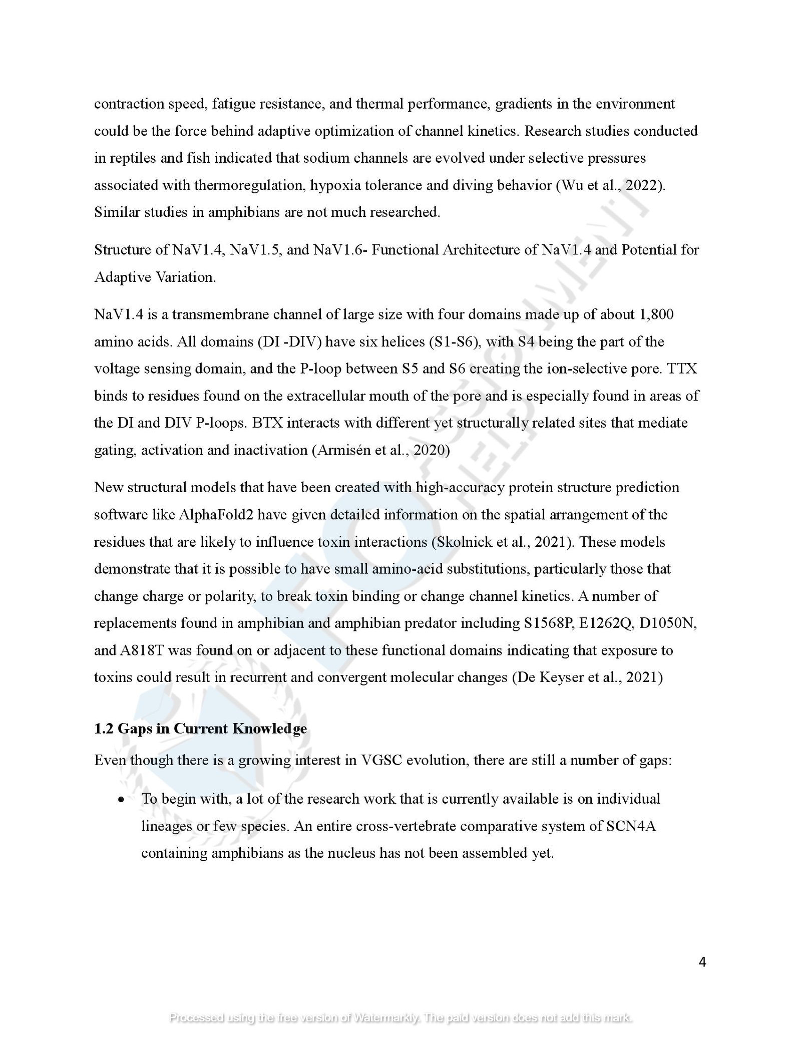 SCN4A Protein Evolution of amphibians species_00007