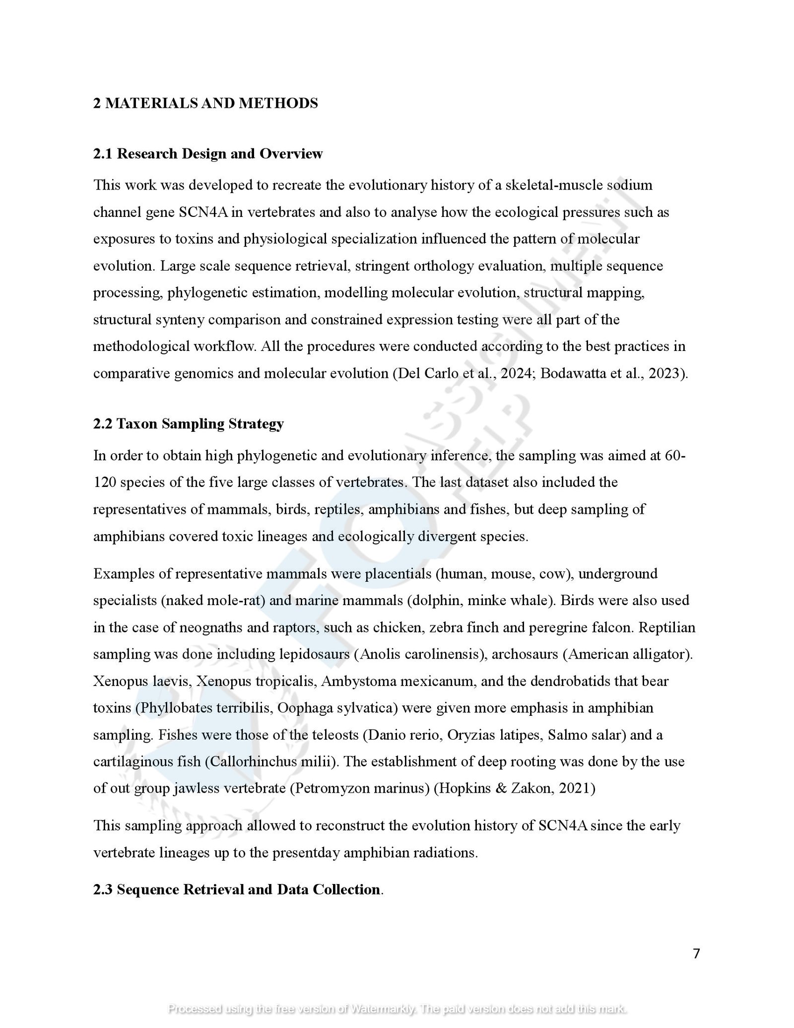 SCN4A Protein Evolution of amphibians species_00010