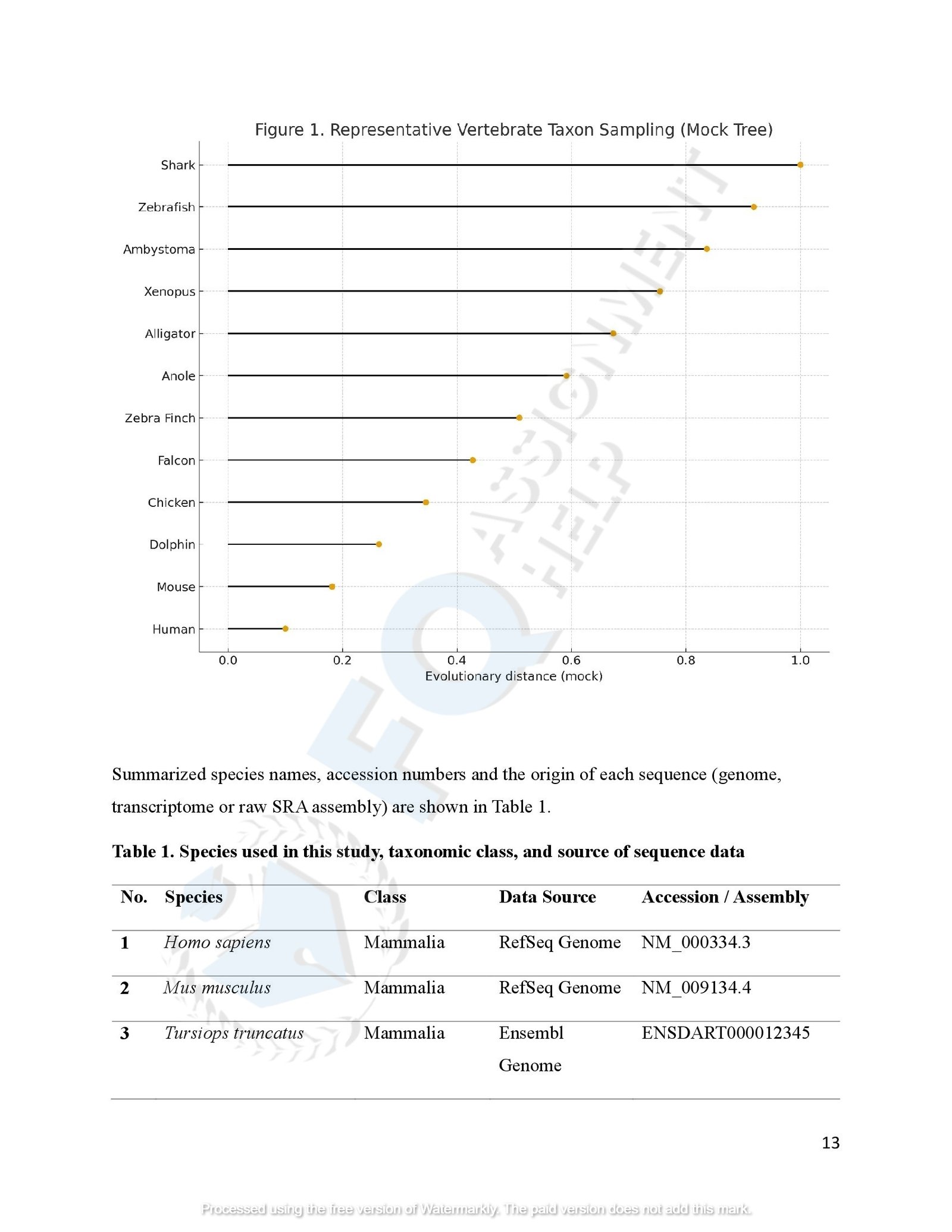 SCN4A Protein Evolution of amphibians species_00016