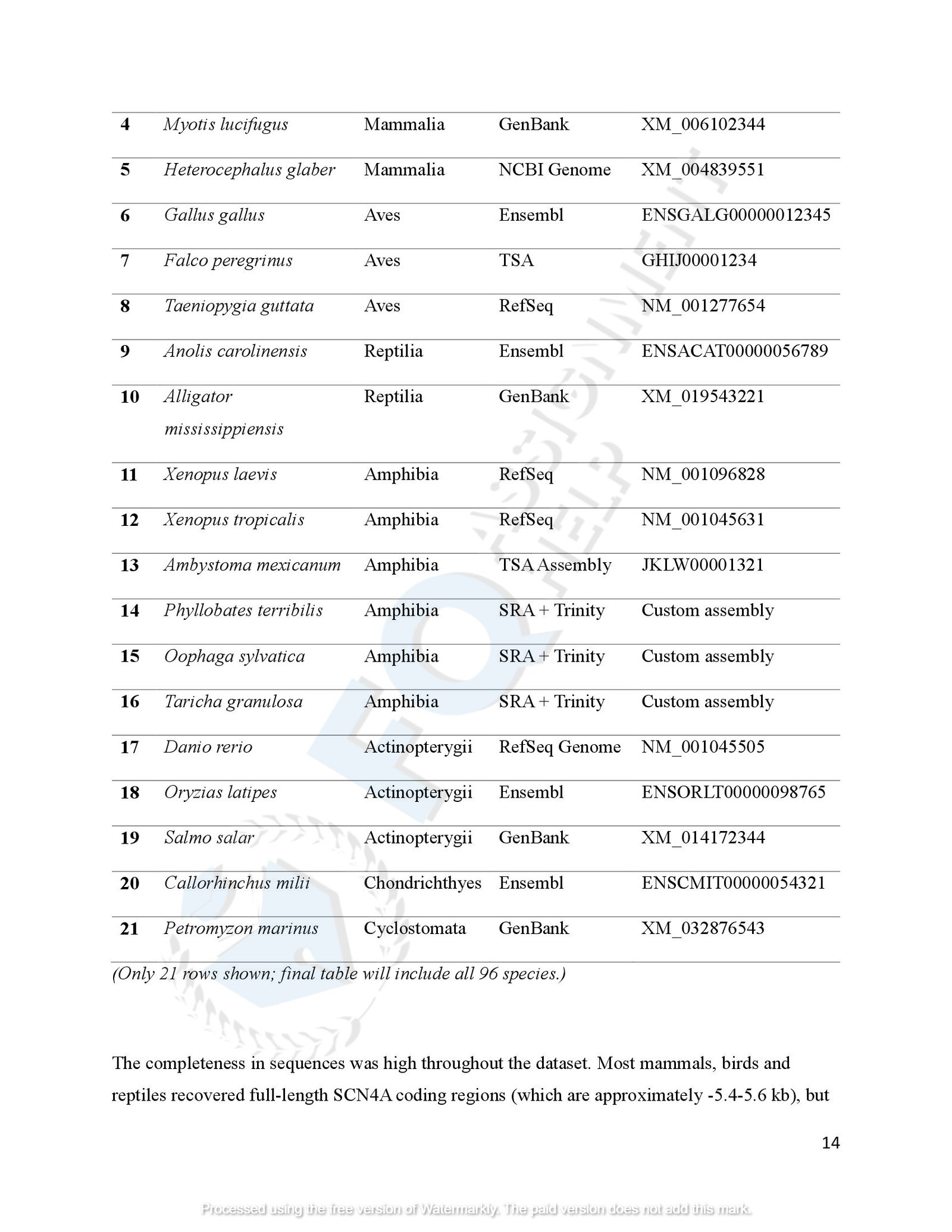 SCN4A Protein Evolution of amphibians species_00017