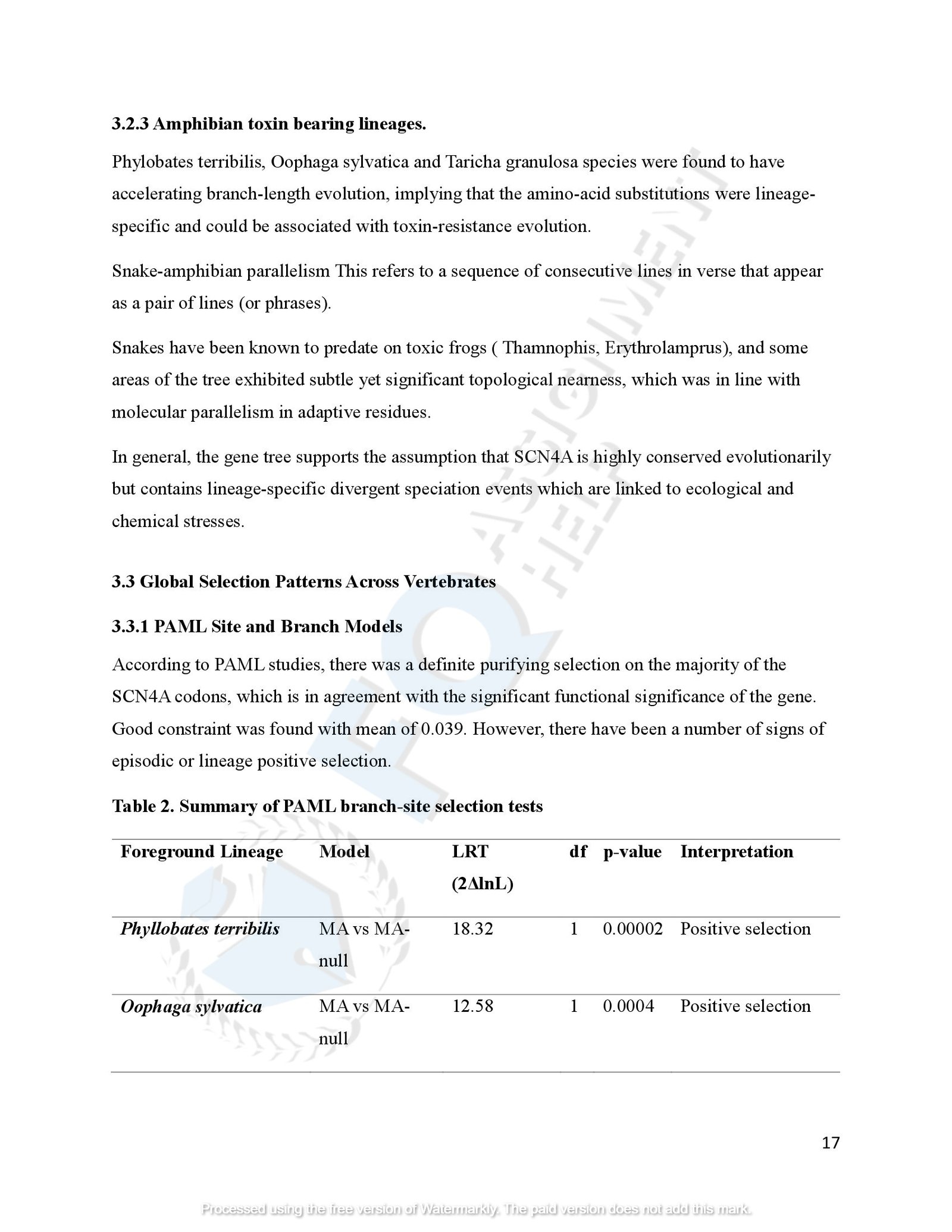 SCN4A Protein Evolution of amphibians species_00020