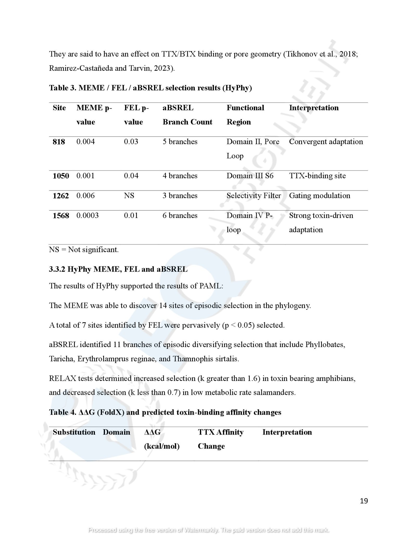 SCN4A Protein Evolution of amphibians species_00022