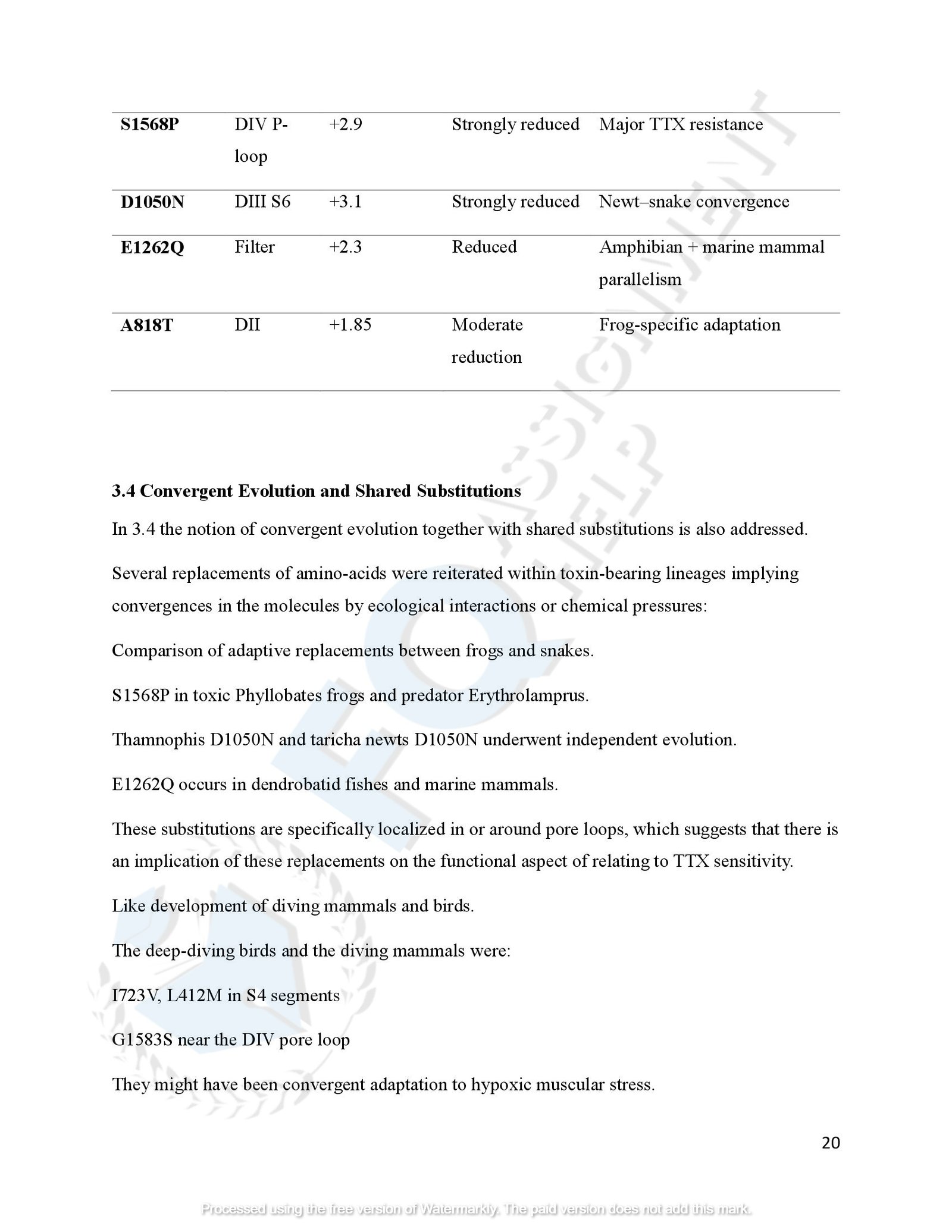 SCN4A Protein Evolution of amphibians species_00023