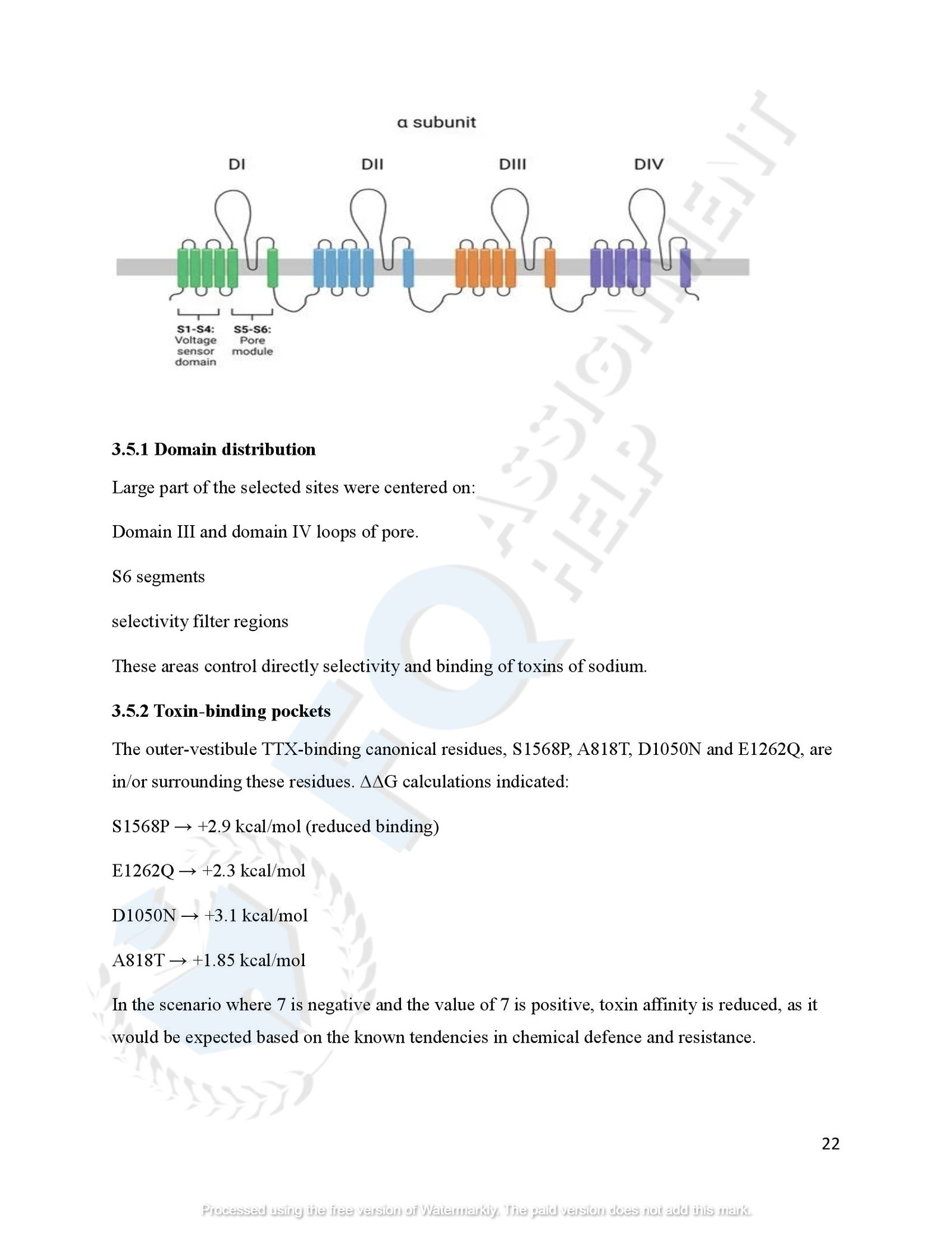 SCN4A Protein Evolution of amphibians species_00025
