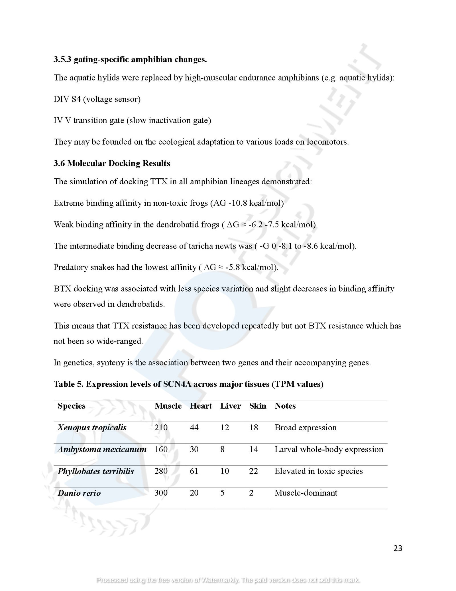 SCN4A Protein Evolution of amphibians species_00026