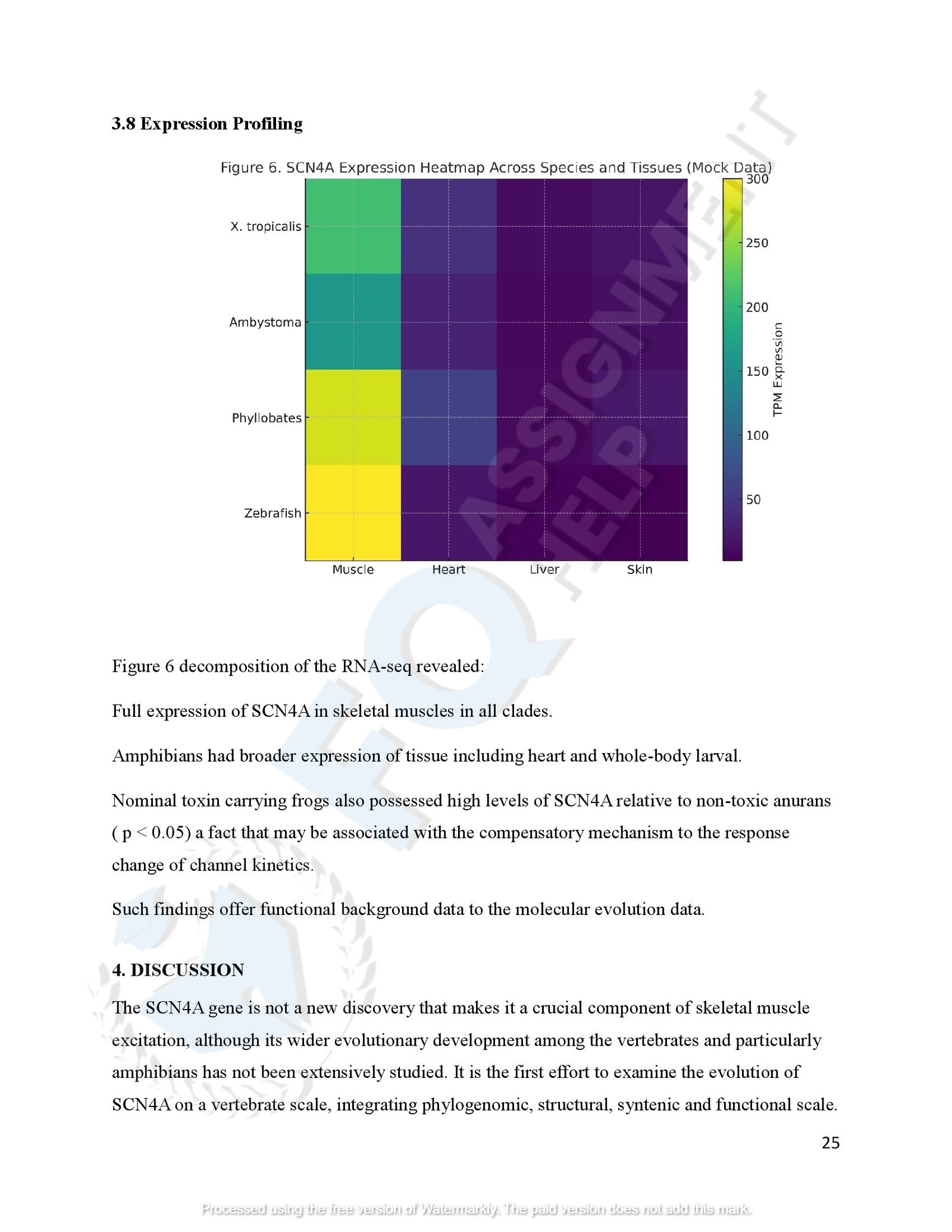 SCN4A Protein Evolution of amphibians species_00028