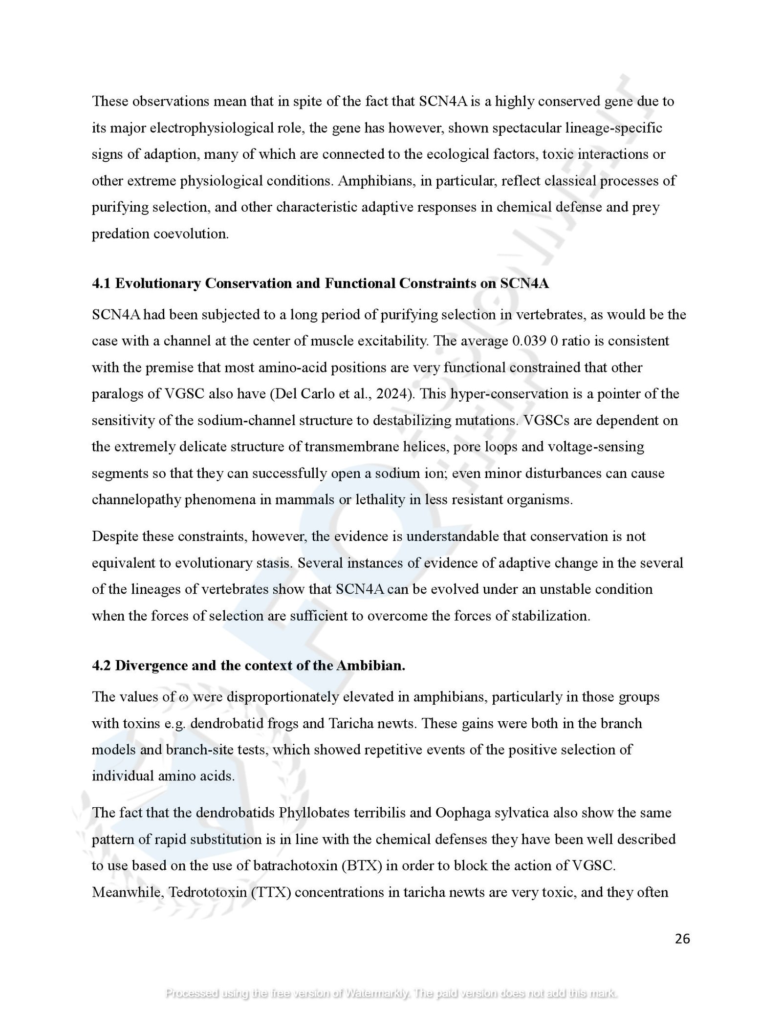 SCN4A Protein Evolution of amphibians species_00029