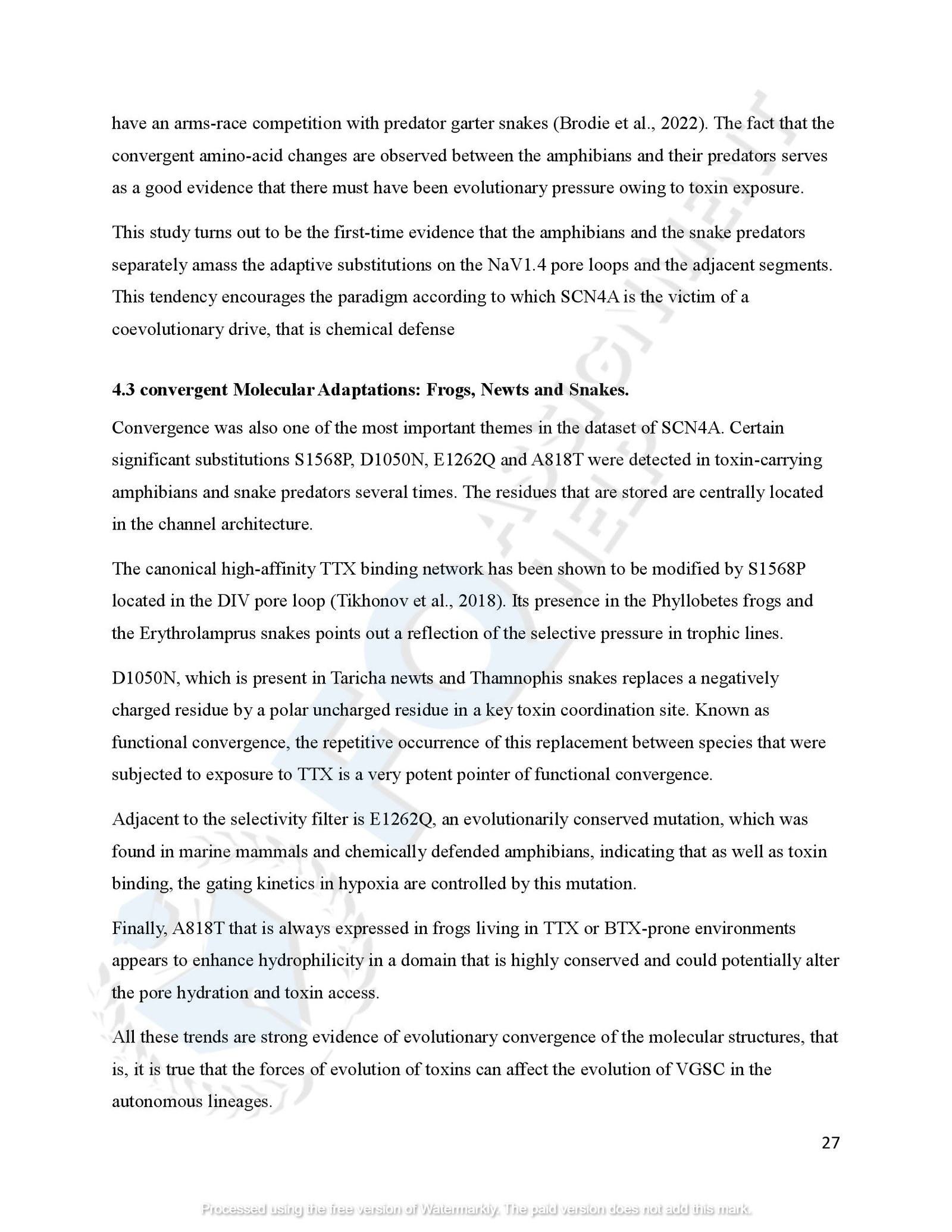 SCN4A Protein Evolution of amphibians species_00030