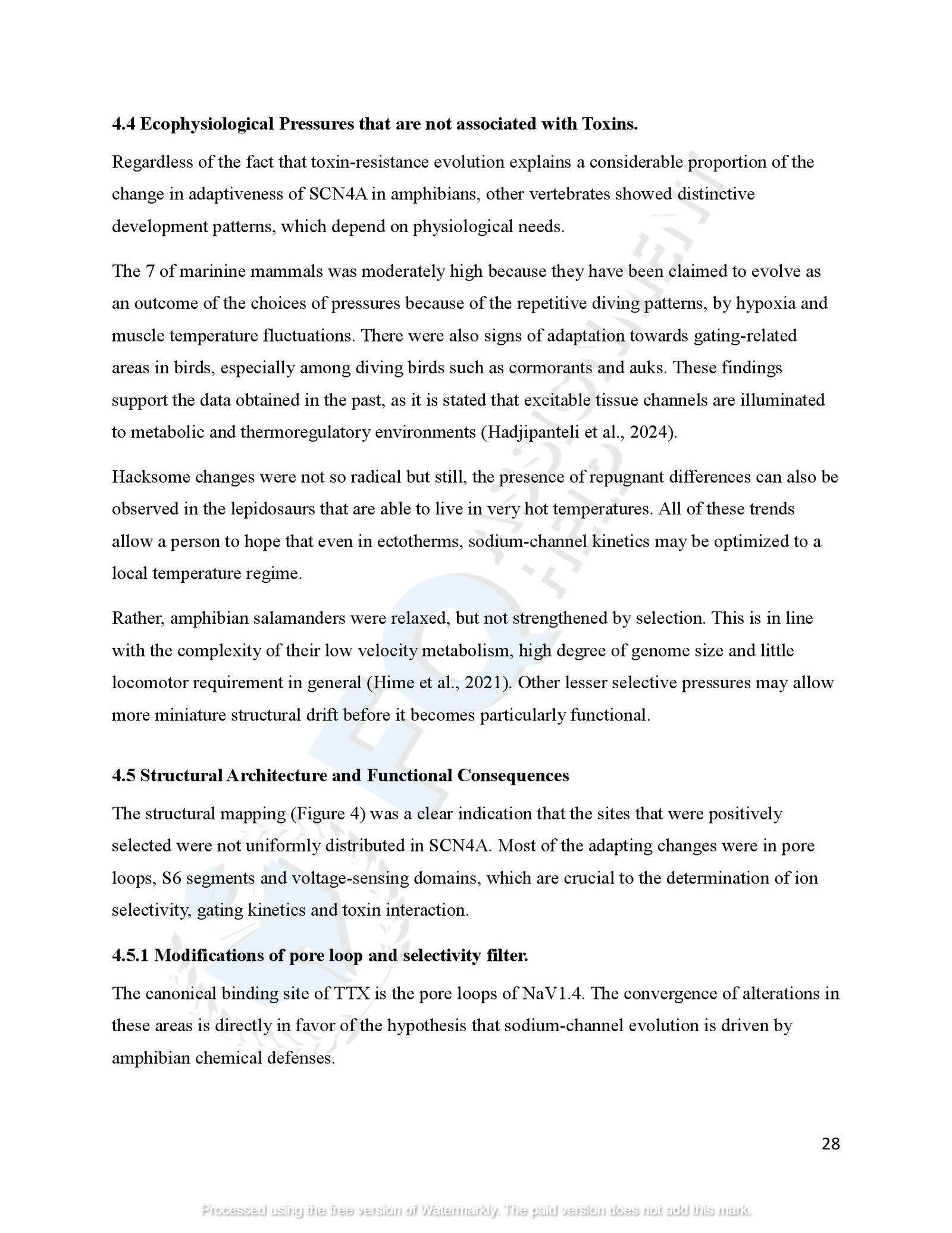 SCN4A Protein Evolution of amphibians species_00031